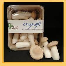 Bolet de card (erungii) | Bolet Ben Fet | 170 g