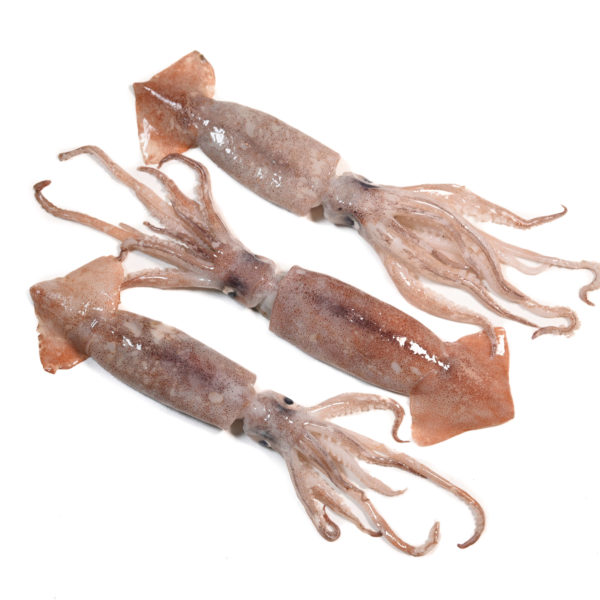 Canana neta | Peixos Daca | 500 g