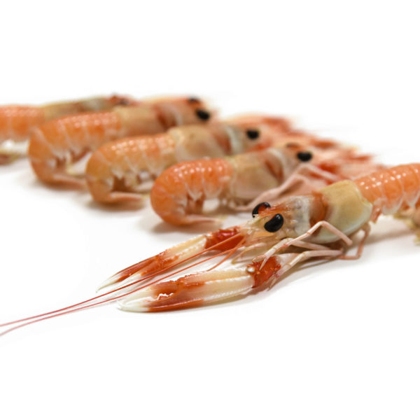 Escamarlà petit | Peixos Daca | 250 g