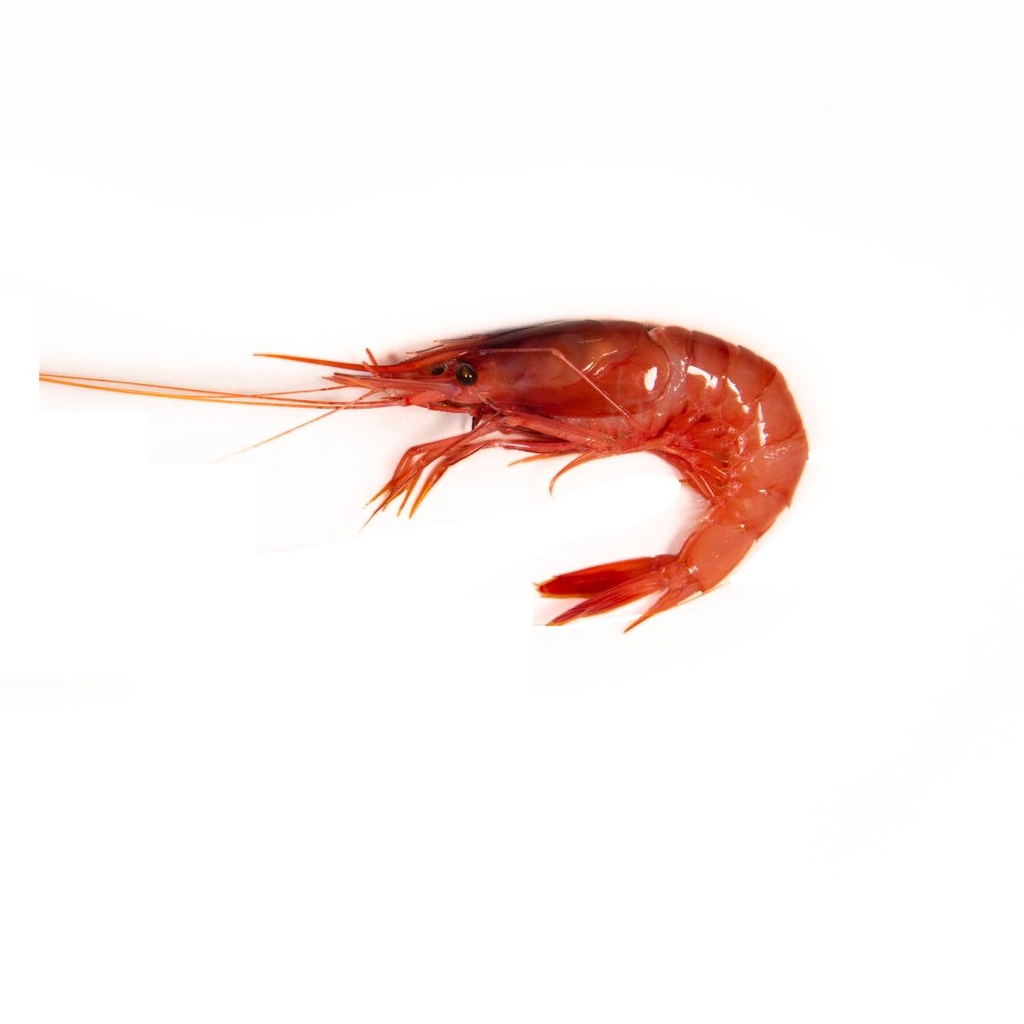 Gamba vermella petita | Peixos Daca | 250 g