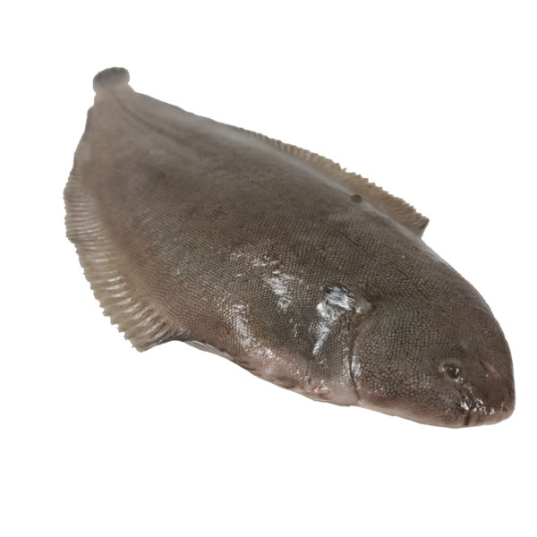 Llenguado (sense pell ni tripa) | Peixos Daca | 500 g