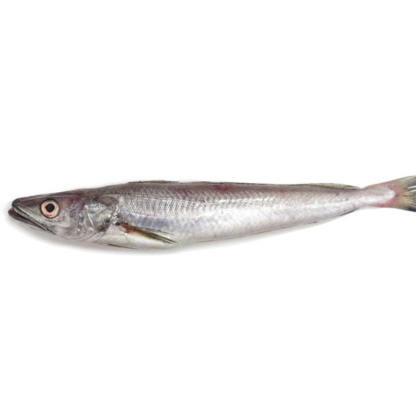 Llucet filetejat | Peixos Daca | 500 g