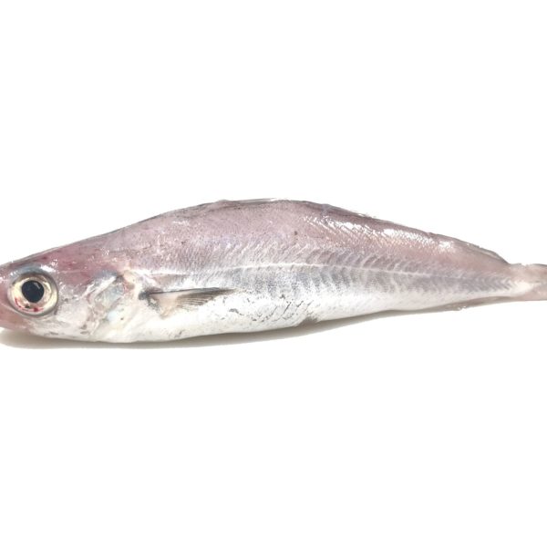 Maira | Peixos Daca | 500 g