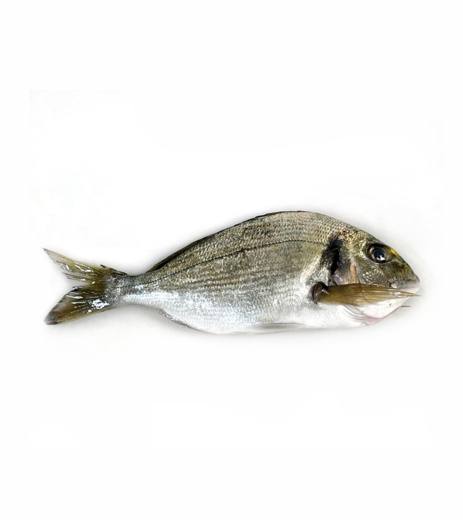 Orada salvatge (sense escata ni tripa) | La Platjeta | 500 g