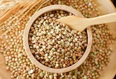 Fajol | Quèviure | 5 kg