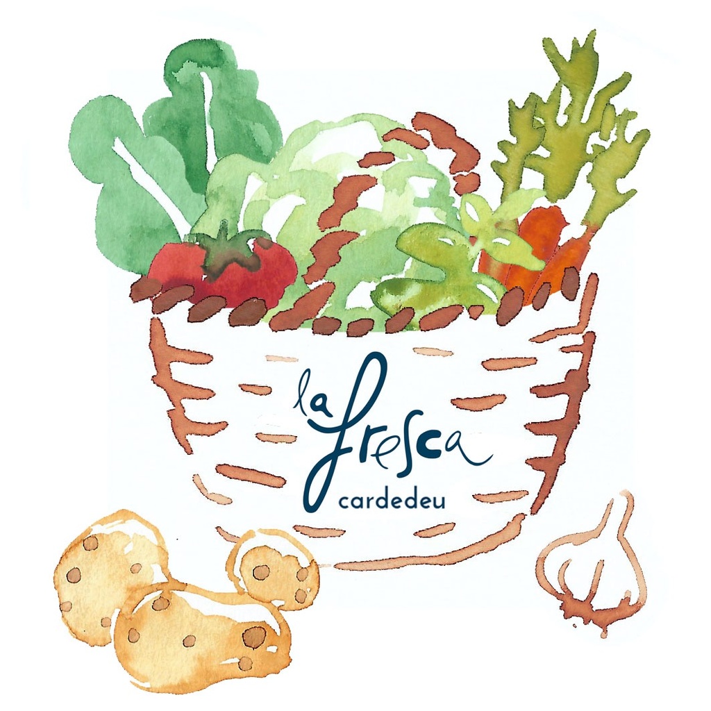 Cistella fruita ecològica | La Magalla | 1,6 kg