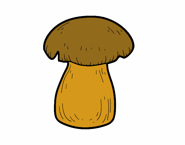 Bolet orellana reina (caixa) | Bolet Ben Fet | 1 kg