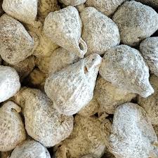 Figa pajarera | Can Galderic | 500 g