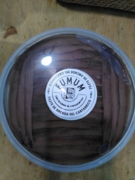Anxova extra 20 filets | Fumum | 200g