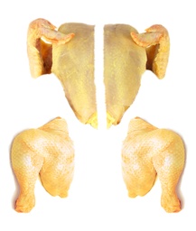 Pollastre a quarts (W) | Can Pep Julià | Unitat