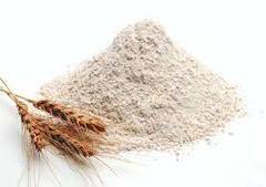 Farina de blat Florència Aurora | Cal Pauet | 5 kg