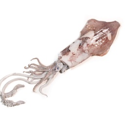 Calamar net | La Platjeta | 500 g