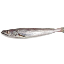 Llucet filetejat | La Platjeta | 300-500 g