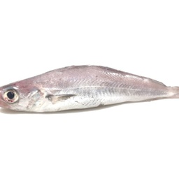Maira | Peixos Daca | 500 g