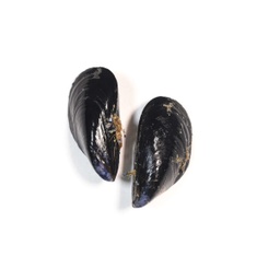 Musclo Roca | Peixos Daca | 500 g