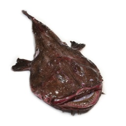 Rap (cua sencera i cap net per fumet) | Peixos Daca | 1 kg