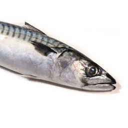 Verat filetejat | Peixos Daca | 500 g