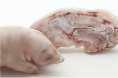 Peus tallats | Llavora | 2 unitats