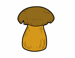 Bolet orellana reina (caixa) | Bolet Ben Fet | 1 kg