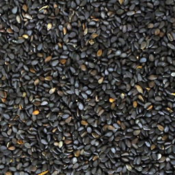 Sèsam negre bio  | Biogrà | 250 g