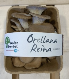 Orellana reina | Bolet Ben Fet | 150 g